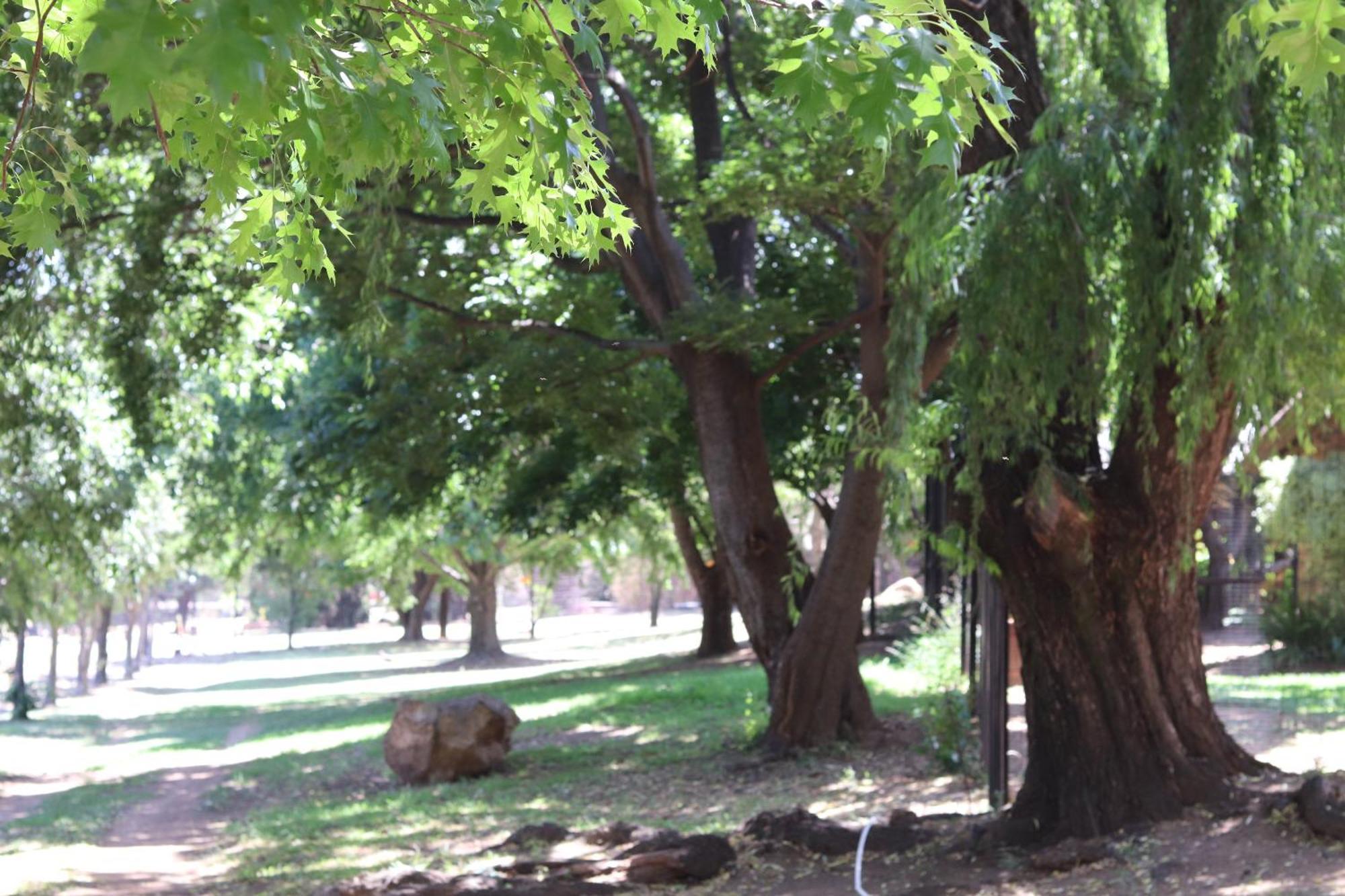 Khaya Africa Guesthouse Midrand Buitenkant foto