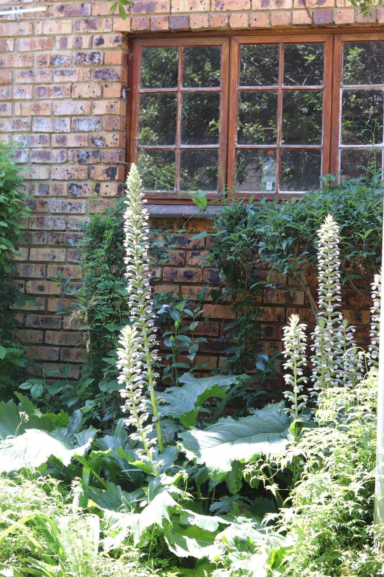 Khaya Africa Guesthouse Midrand Buitenkant foto