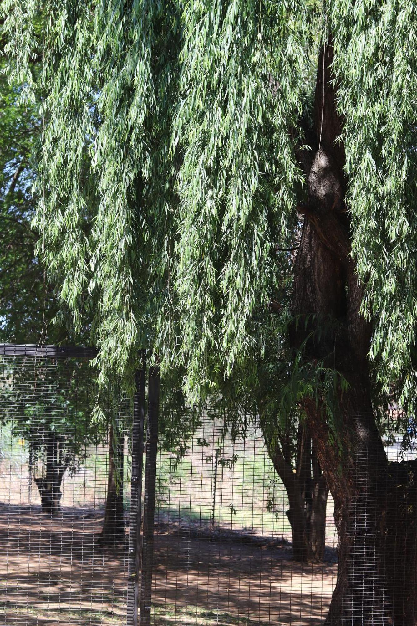 Khaya Africa Guesthouse Midrand Buitenkant foto